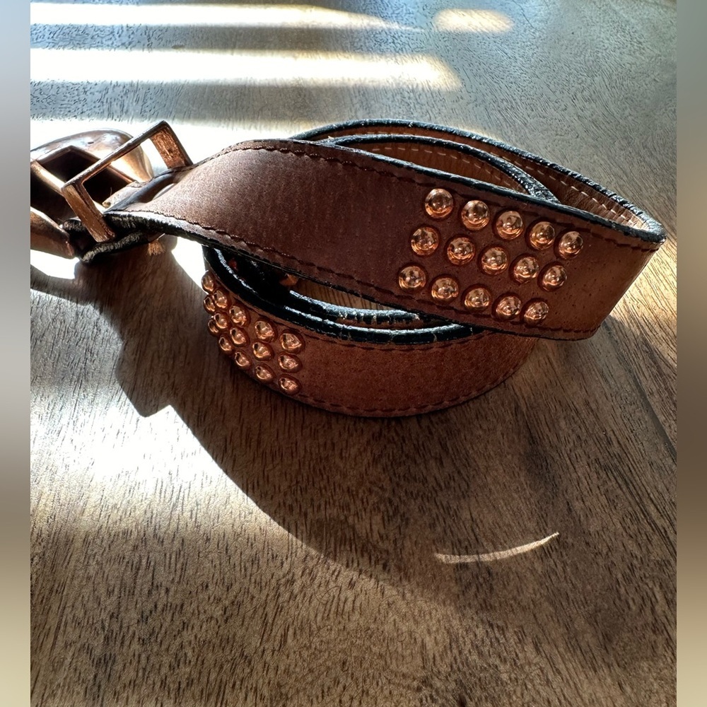Jenny And the Boys Womens Studded Buckle Belt Leather Western Brown Size S